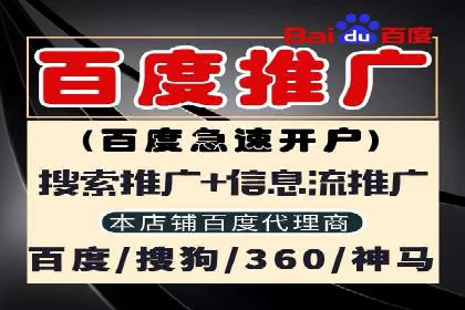 百度广告投放策略：成功案例解析